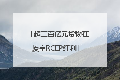 超三百亿元货物在厦享RCEP红利