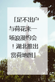 足不出户与荷花来一场浪漫约会！湖北推出赏荷地图