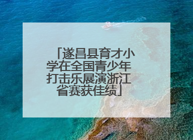 遂昌县育才小学在全国青少年打击乐展演浙江省赛获佳绩