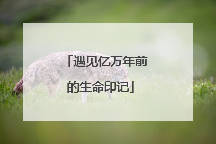 遇见亿万年前的生命印记