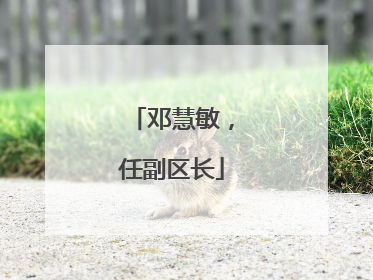 邓慧敏，任副区长
