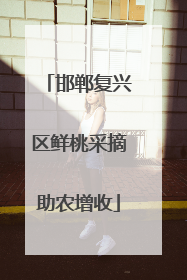 邯郸复兴区鲜桃采摘助农增收