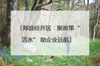郏县经开区：聚政策“活水” 助企业远航
