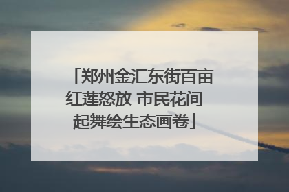 郑州金汇东街百亩红莲怒放 市民花间起舞绘生态画卷