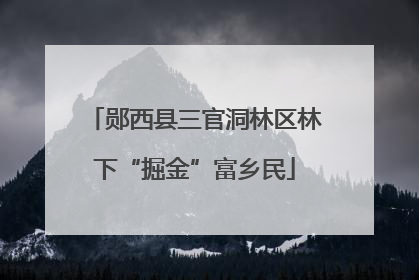 郧西县三官洞林区林下“掘金”富乡民