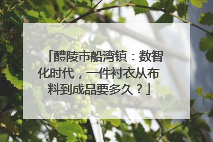 醴陵市船湾镇：数智化时代，一件衬衣从布料到成品要多久？