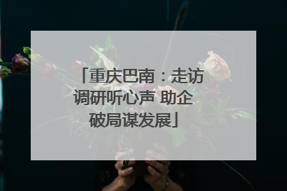 重庆巴南：走访调研听心声 助企破局谋发展
