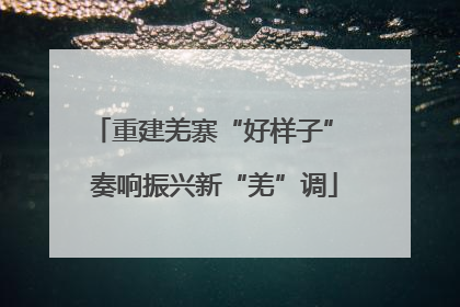 重建羌寨“好样子” 奏响振兴新“羌”调
