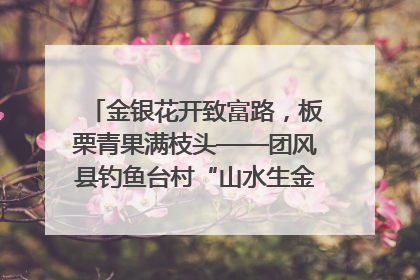 金银花开致富路，板栗青果满枝头——团风县钓鱼台村“山水生金”谱写共富新篇章