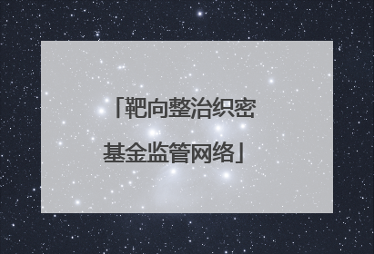 靶向整治织密基金监管网络