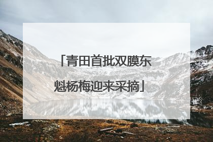 青田首批双膜东魁杨梅迎来采摘