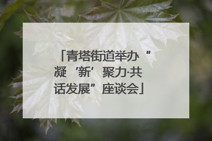 青塔街道举办“凝‘新’聚力·共话发展”座谈会