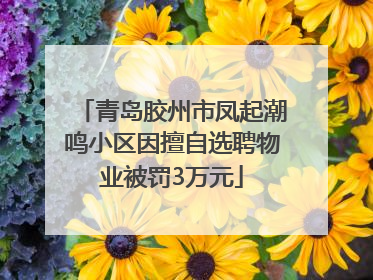 青岛胶州市凤起潮鸣小区因擅自选聘物业被罚3万元