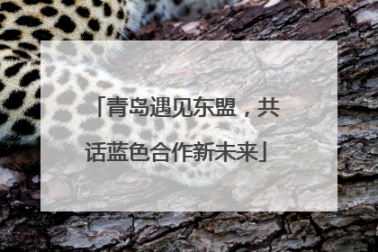 青岛遇见东盟，共话蓝色合作新未来