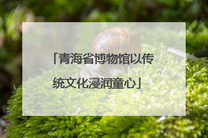 青海省博物馆以传统文化浸润童心