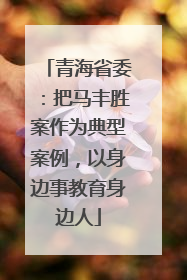 青海省委：把马丰胜案作为典型案例，以身边事教育身边人