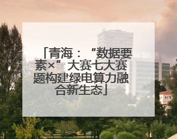 青海：“数据要素×”大赛七大赛题构建绿电算力融合新生态