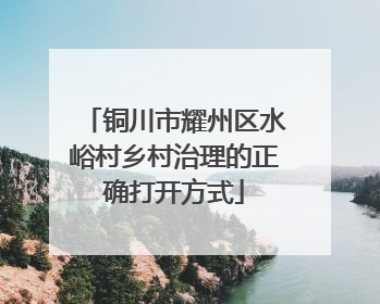 铜川市耀州区水峪村乡村治理的正确打开方式