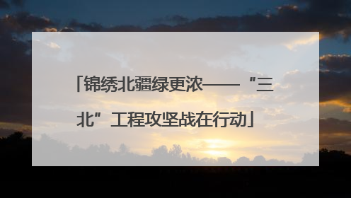 锦绣北疆绿更浓——“三北”工程攻坚战在行动