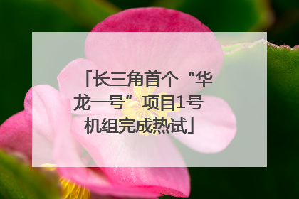 长三角首个“华龙一号”项目1号机组完成热试