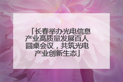 长春举办光电信息产业高质量发展百人圆桌会议，共筑光电产业创新生态