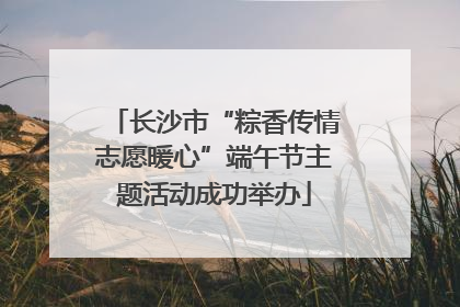 长沙市“粽香传情志愿暖心”端午节主题活动成功举办