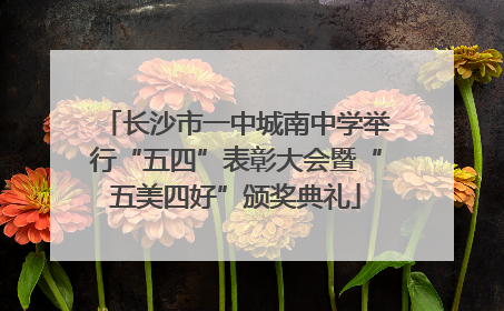长沙市一中城南中学举行“五四”表彰大会暨“五美四好”颁奖典礼