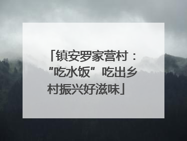 镇安罗家营村：“吃水饭”吃出乡村振兴好滋味