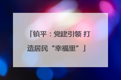 镇平：党建引领 打造居民“幸福里”