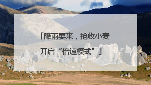 降雨要来，抢收小麦开启“倍速模式”