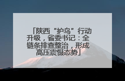 陕西“护鸟”行动升级，省委书记：全链条排查整治，形成高压震慑态势