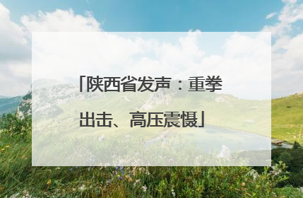 陕西省发声：重拳出击、高压震慑