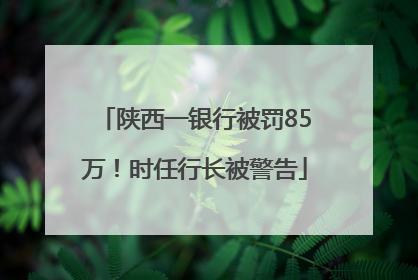 陕西一银行被罚85万！时任行长被警告