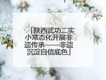 陕西武功二实小常态化开展非遗传承——非遗沉淀自信底色