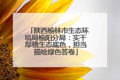 陕西榆林市生态环境局榆阳分局：实干厚植生态底色，担当描绘绿色答卷
