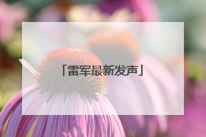 雷军最新发声