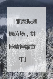 雏鹰振翅绿茵场，拼搏精神耀童年