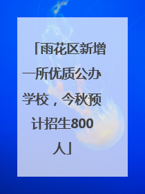 雨花区新增一所优质公办学校，今秋预计招生800人