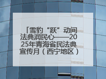 雪豹“跃”动间 法典润民心——2025年青海省民法典宣传月（西宁地区）主场活动见闻