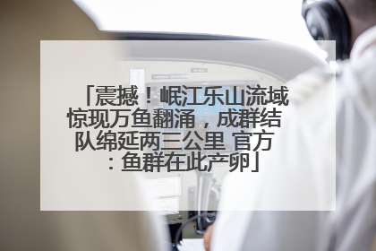 震撼！岷江乐山流域惊现万鱼翻涌，成群结队绵延两三公里 官方：鱼群在此产卵