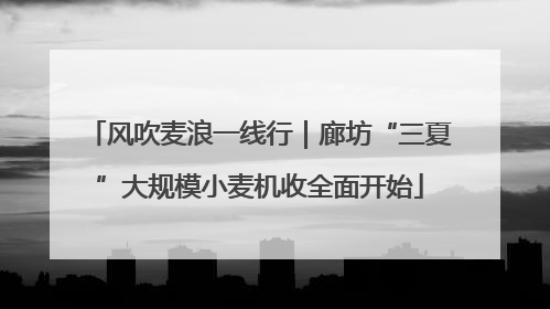 风吹麦浪一线行｜廊坊“三夏”大规模小麦机收全面开始