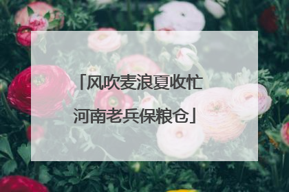 风吹麦浪夏收忙 河南老兵保粮仓