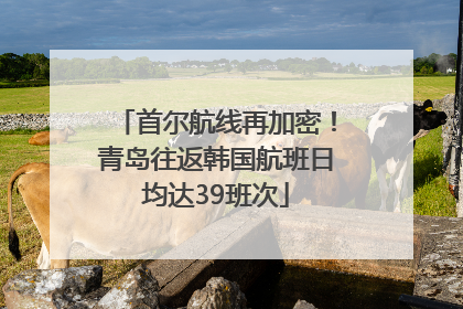 首尔航线再加密！青岛往返韩国航班日均达39班次