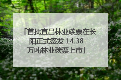 首批宜昌林业碳票在长阳正式签发 14.38万吨林业碳票上市