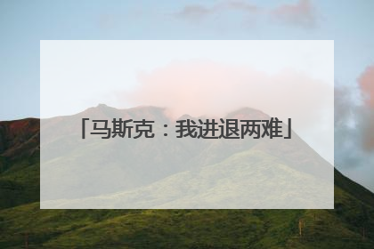 马斯克：我进退两难