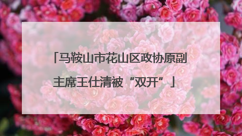 马鞍山市花山区政协原副主席王仕清被“双开”