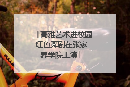 高雅艺术进校园 红色舞剧在张家界学院上演