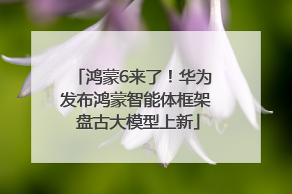 鸿蒙6来了！华为发布鸿蒙智能体框架 盘古大模型上新