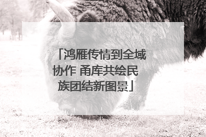 鸿雁传情到全域协作 甬库共绘民族团结新图景