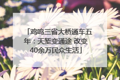 鸡鸣三省大桥通车五年：天堑变通途 改变40余万民众生活